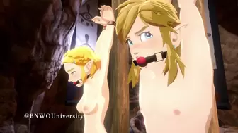 Link And Zelda: Cuckold Couple Goals - BNWO University