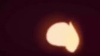 Scooby-Doo  -hentai anime