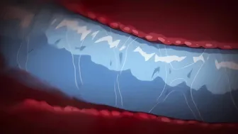 Daisuki Na Haha [01][60fps]