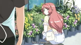 Lover in Law Episode 1