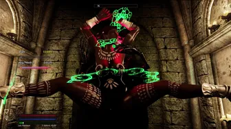 Skyrim: Zhara X Dragon Priest