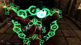 Skyrim: Zhara X Dragon Priest
