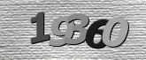 Immagine di protezione