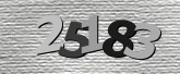 Captcha resmi