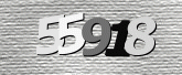 Captcha resmi