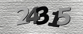 Captcha resmi