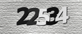 Captcha resmi