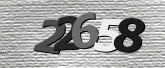 Captcha resmi