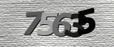 Captcha resmi