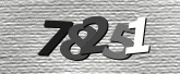Captcha resmi