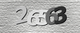 验证码